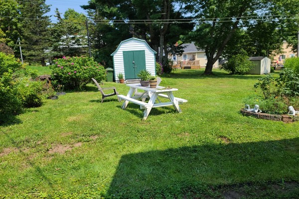 clean yard with shed.